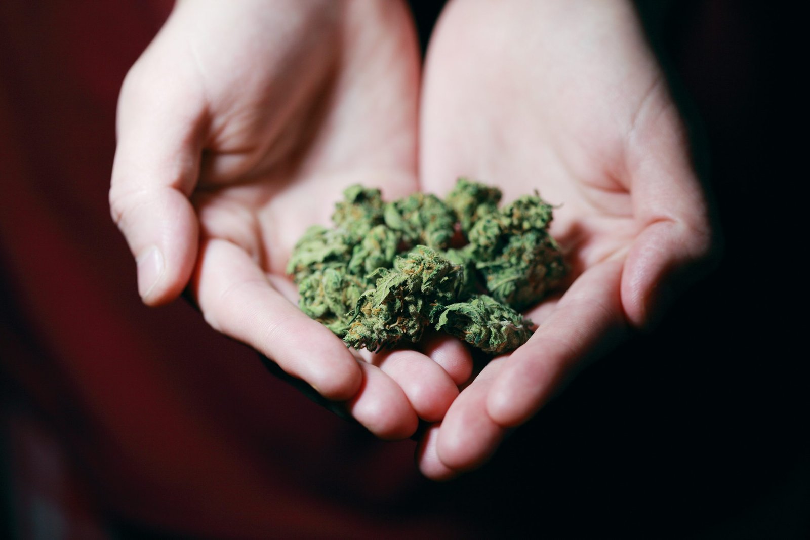 Marijuana Legalization 